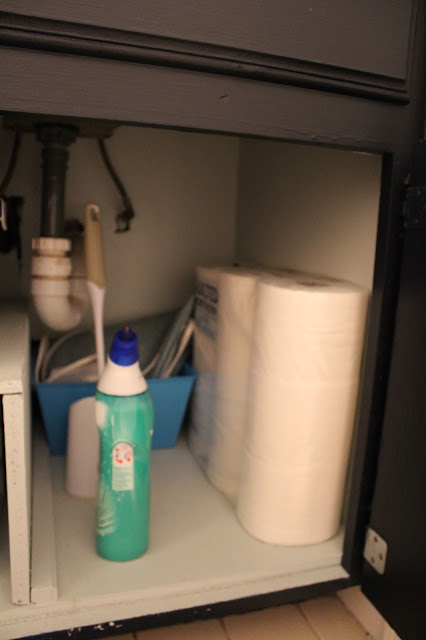 under sink storage and organization for the bathroom