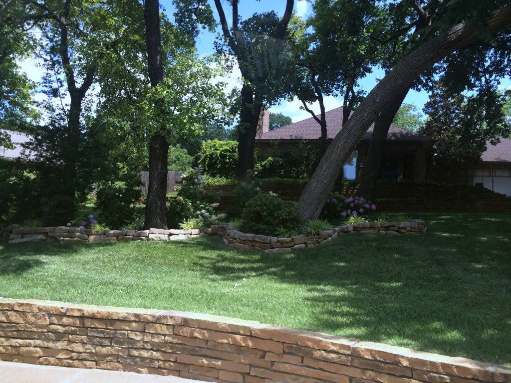 shade planting bed under trees