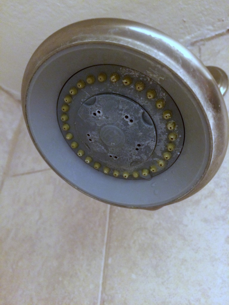 dirty shower head