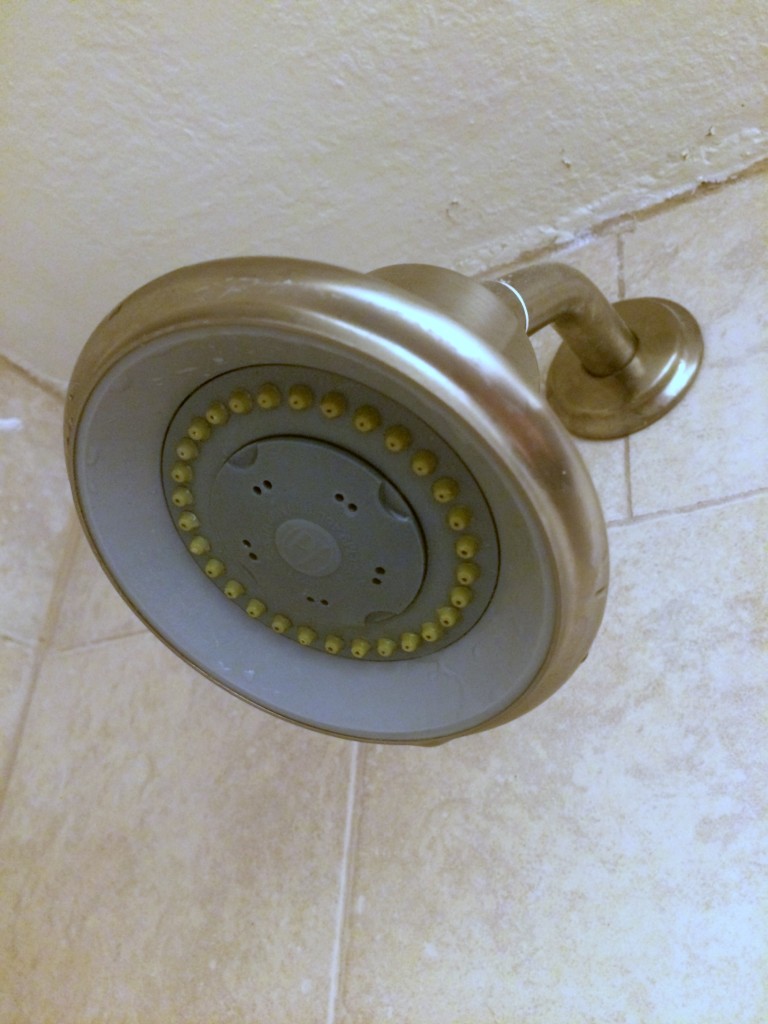 clean shower head