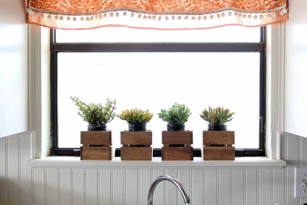 succulant garden in kitchen window