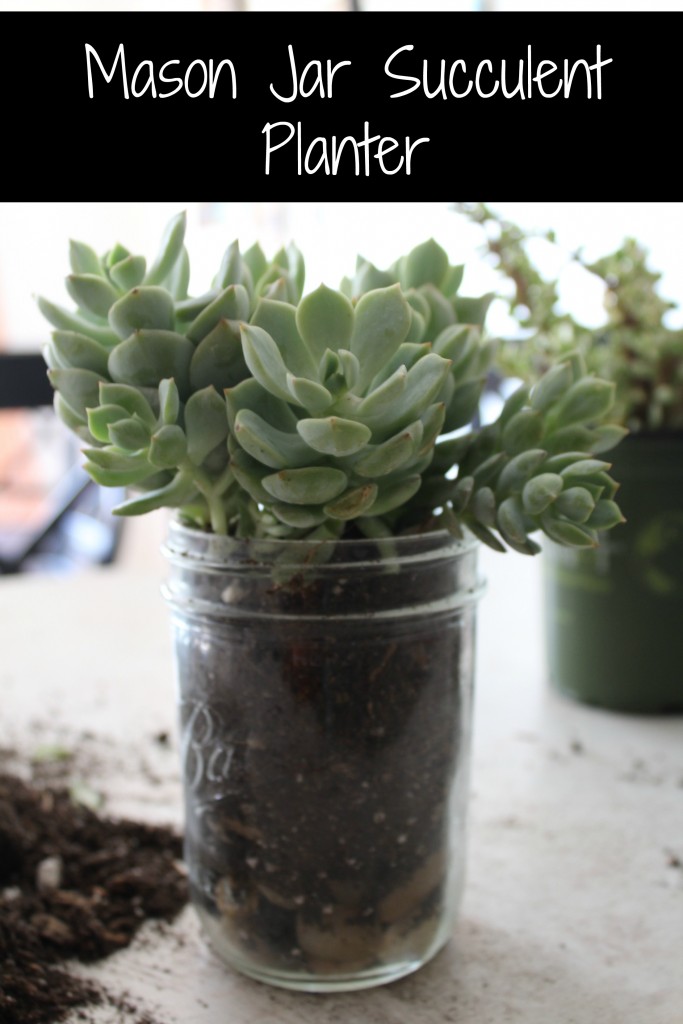 mason jar succulent planter