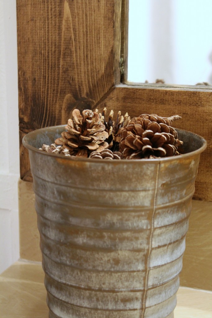 pail-with-pine-cones