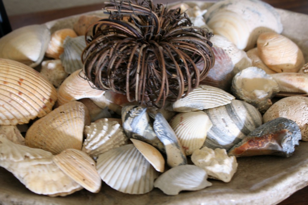 pumpkin-and-seashells