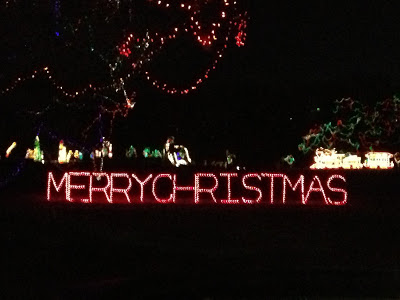 drive-thru-christmas-lights