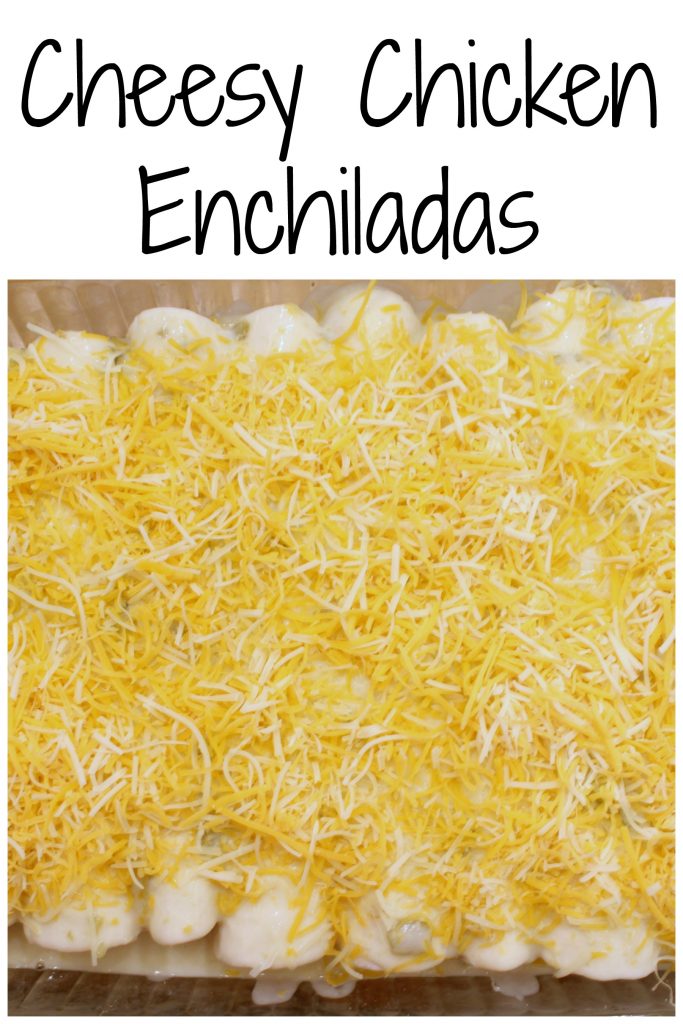Cheesy Chicken Enchiladas