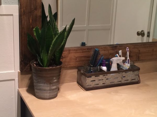 Bathroom counter organization