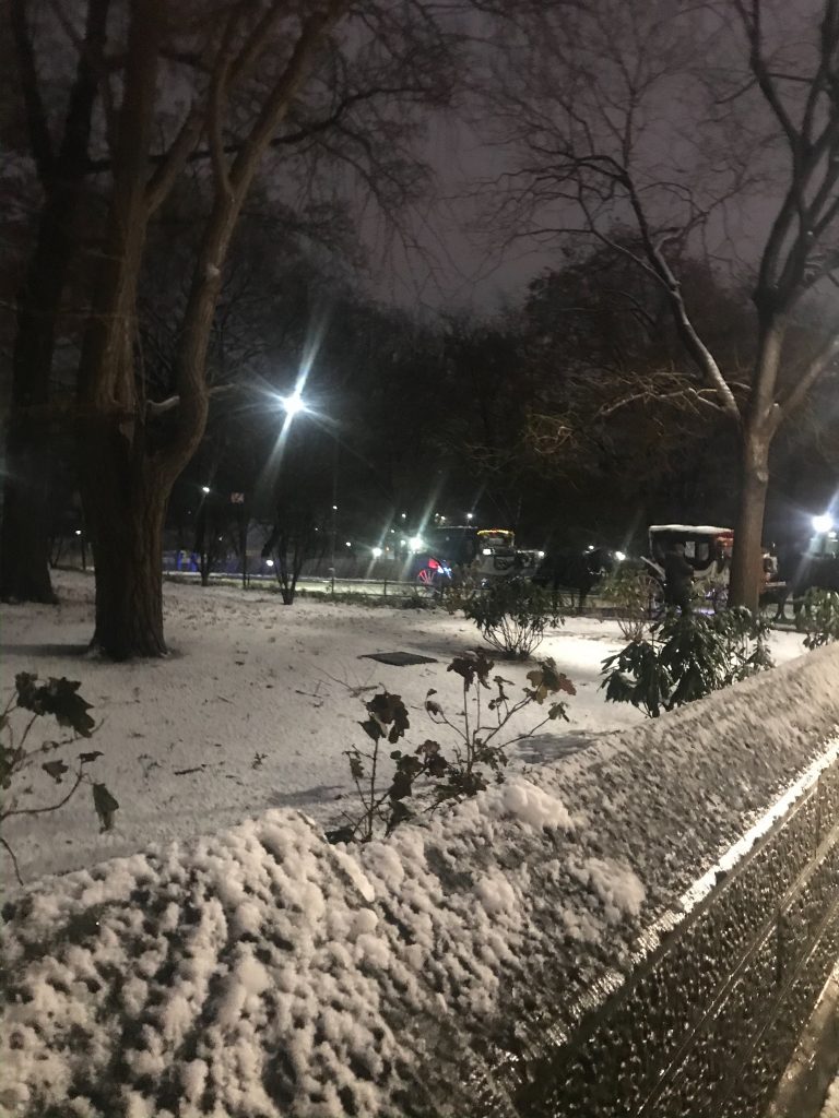 Snow in Central Park