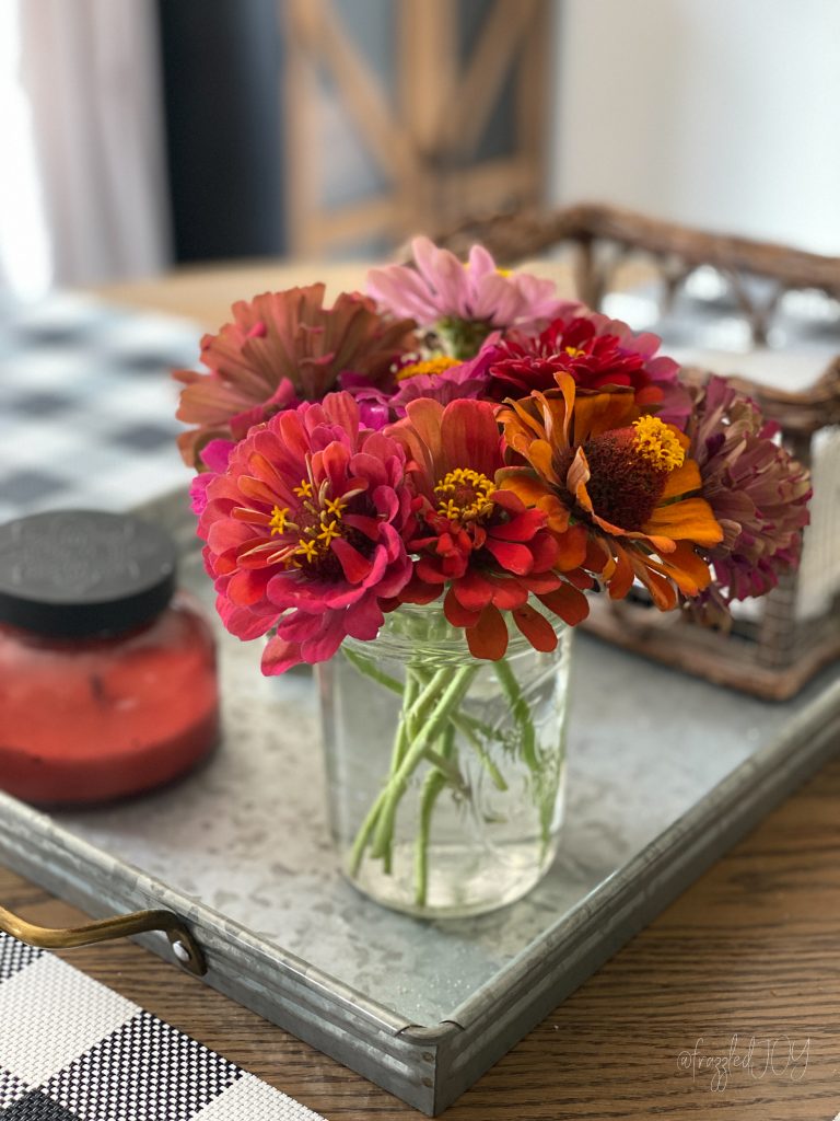 Fall zinnia colors